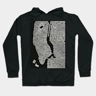 new york nyc Hoodie